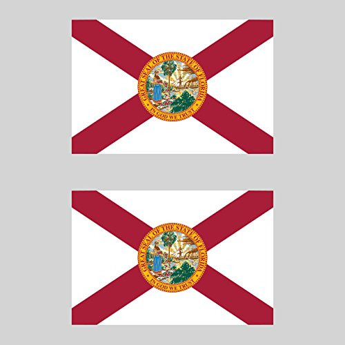 Paquete De Dos Pegatinas De Bandera De Florida, Gráfic...