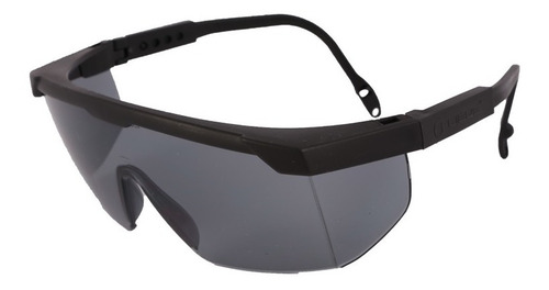 Imagen 1 de 5 de Anteojos Lentes De Protección Libus Argon Oscuro Pack X10uni