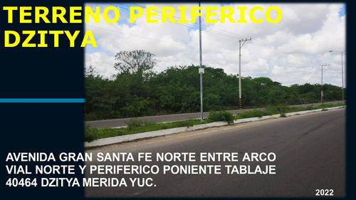 Venta De Terreno En Dzitya Precio Por Metro Cuadrádo Norte Yucatán