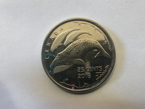 Moneda Canadá 25 Cents 2013 Vida En El Norte (x824