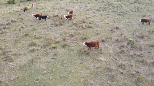 Imagen 11 de 12 de Chacra En Maldonado 3ha Sierra De Los Caracoles (ref: Atm-6801)