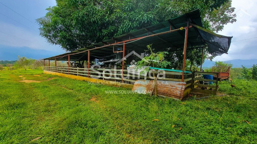 Imagen 11 de 27 de Amplia Finca, Colinas De San Benito - El Vigía