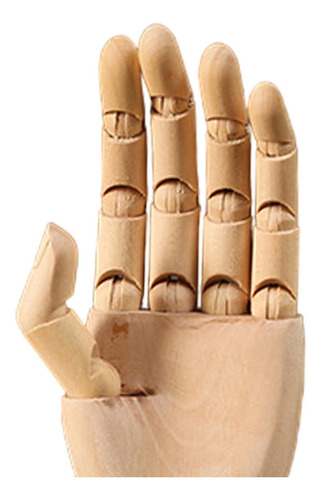 Modelo De Mano De Madera Flexible, Modelo De Mano Pequeño