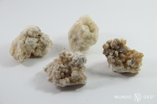 Imagen 1 de 1 de Piedra Caliza Coraloide Nro. 5