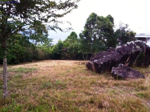 Imagem 4 de 4 de Terreno À Venda Em Praia Das Toninhas - Te018544