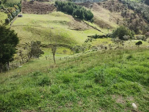Finca En Guarne Ovejas