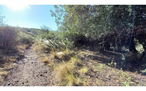 Imagen 3 de 14 de Oportunidad!! Permuto Tres Hectareas Zona Sierras Chicas Por Casa En Cordoba Cap