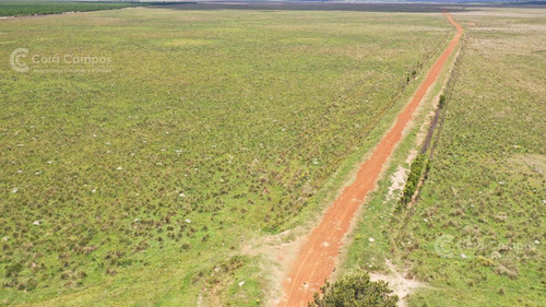 Se Vende Campo Ganadero De 505 Ha En Virasoro, Corrientes