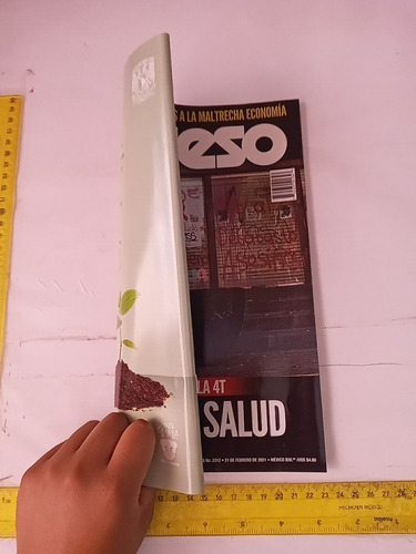 Revista Proceso No 2312 Febrero 2021 (Usado)
