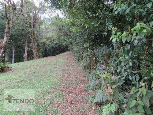 Imagem 6 de 15 de Chácara 20000 M² - Venda - 2 Dormitórios - 1 Suíte - Vila California - Rio Grande Da Serra/sp - Ch0078