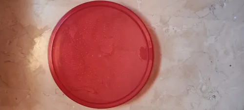 Bandeja Acrilica Fucsia (Usado)