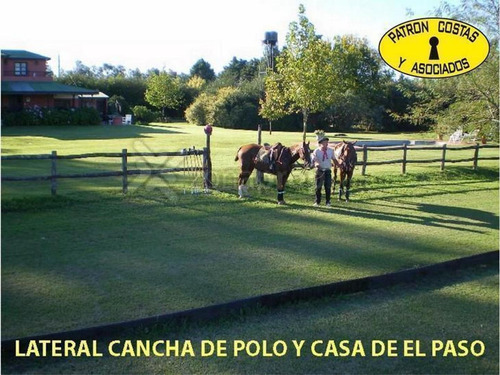 Imagen 2 de 14 de Rivadavia 800 - Open Door - Luján