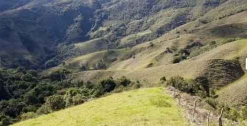 Bloque De 123 Hectareas Para Aguacate Hass En Abejorral