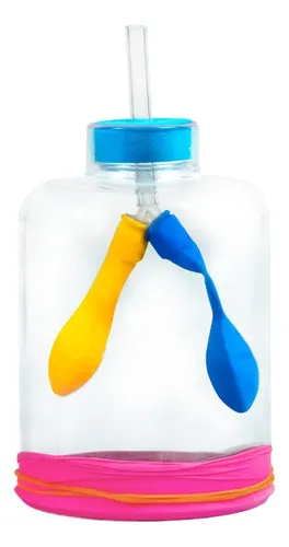 Modelo De Función Pulmonar Para Montaje Educativo – Sistema Respiratorio Realista – Herramienta De Enseñanza Para Estudiantes Y Niños – Material ABS Y Silicona – +7 Años
