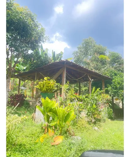 Alquiler De Finca En El Sector De Río Verde Alto En Córdoba Quindío