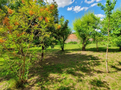 Imagen 26 de 30 de Esplendida Casa Con Terreno De 1.000 M2, Bv Rivadavia Y Junin, Vista Al Rio Asegurada !
