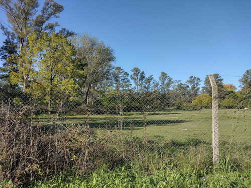 Imagen 4 de 21 de Terreno En Venta - La Lonja - Pilar