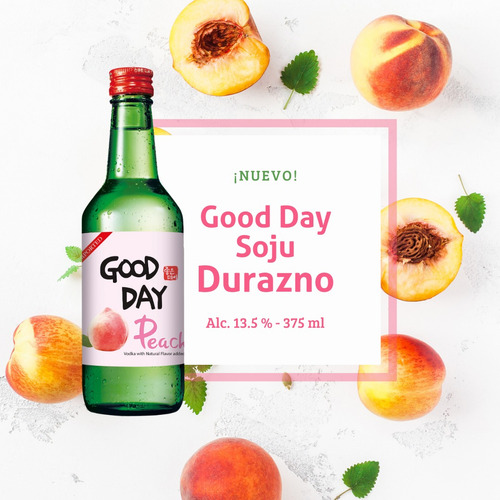 10 Soju A Elección - Good Day