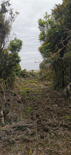Sitios En Venta En Hualaihue