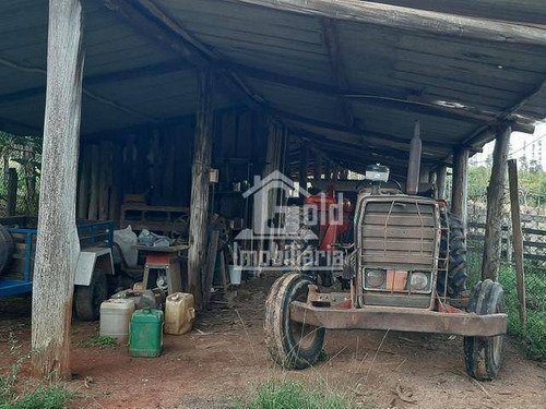 Sitio Com 6,5 Alqueires Na Região De Tatui-sp Com 3 Tanques Para Criação De Peixe, Criação De Galinha Caipira, Excelente Pasto Com 30 Cabeças De Gado - Si0069