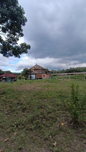 Leandro Araque Inzitu Realtors Vende Terreno Agrosturistico Con Oportunidad De Inversión Única En Nirgua Yaracuy Transforma Tu Sueño En Realidad
