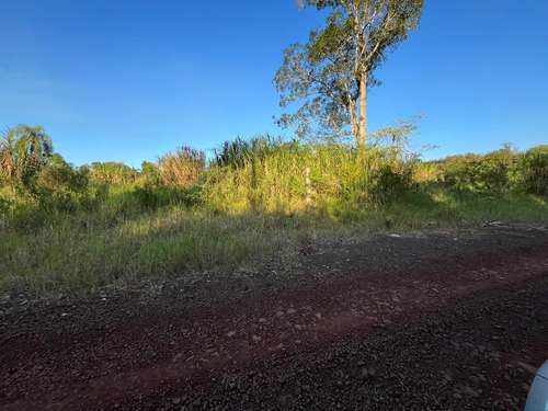 ¡gran Lanzamiento! Loteo Bernal, Km10 De Eldorado - Misiones