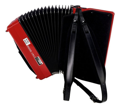Acordeon Digital Roland Fr-4x-rd 37 Teclas 120bx Ver. C/ Bag