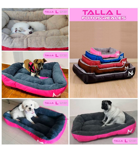 Imagen 9 de 10 de Super Combo / Cama Para Perros L + Pechera M + Paseador