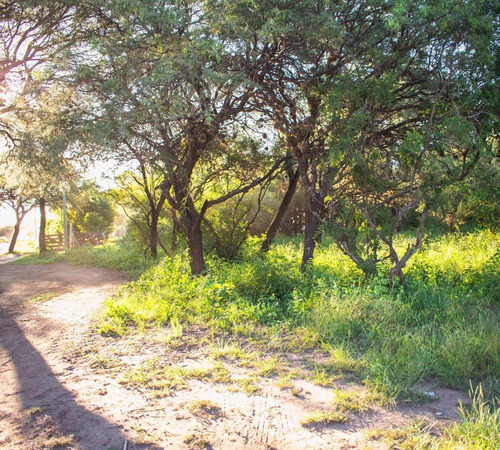 Lote En Venta De 2000m2 En Carpinteria, A 5 Min De Merlo, Sa
