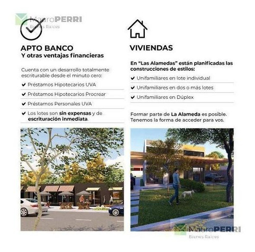 Imagen 10 de 18 de Terreno - Abasto