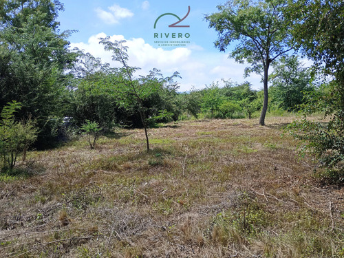 Se Vende Lote En Cordoba