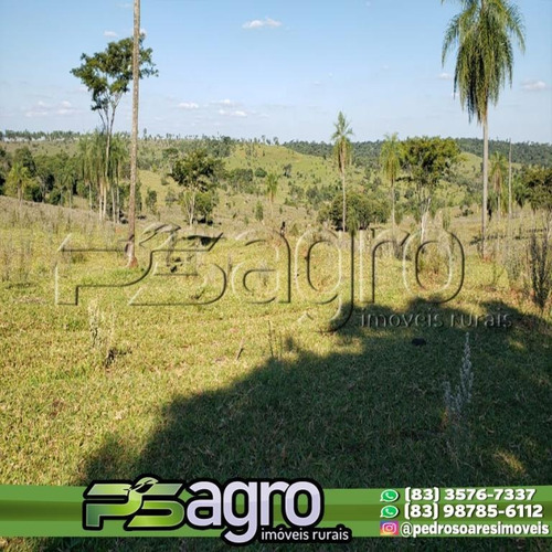 Imagem 9 de 13 de Área À Venda, 1115 Alqueires Por R$ 73.144.000 - Centro - Tacuru/ms - Ar0029