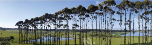 Imagen 5 de 5 de Terrenos A La Venta En Manantiales. - Manantiales Laguna Estates