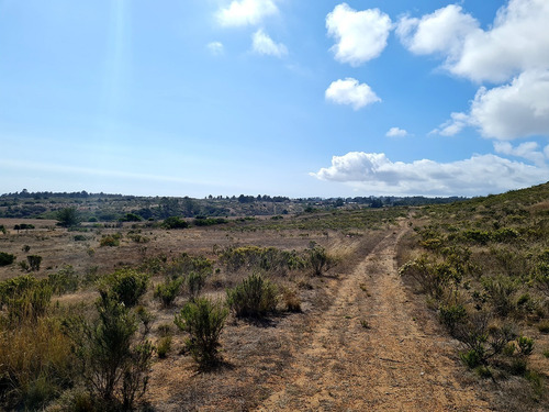 Imagen 11 de 25 de Parcelas De 5.000 Con/sin Vista Mar En Condominio Algarrobo