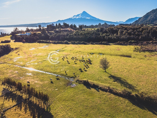 Imagen 12 de 20 de Parcelas Cercanas A Puerto Varas - Entre Volcanes