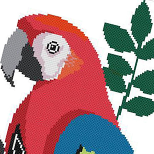 Kit De De Loro Preimpreso Para Adultos Niños 14ct 2 Hebras