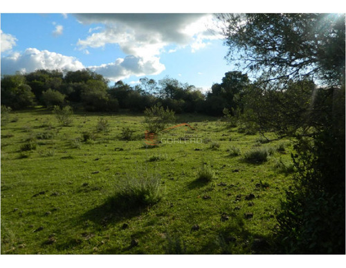 Imagen 10 de 21 de Campo En Uruguay, Aiguá, Ruta 13