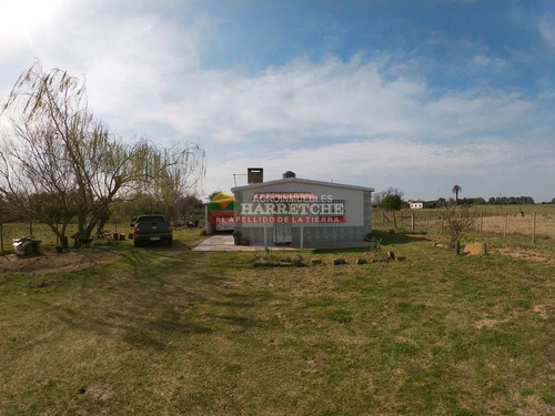 Chacra En Venta Los Cerrillos, 1 Has Con Casa De Dos Dormitorios