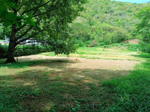 Lote En Venta En Paraje El Espinal. Cod V14863
