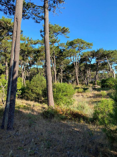 Terreno - Punta Del Este