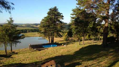 Fazenda Com 290 Hectares Para Pecuária E Lazer Em Gramado Rs