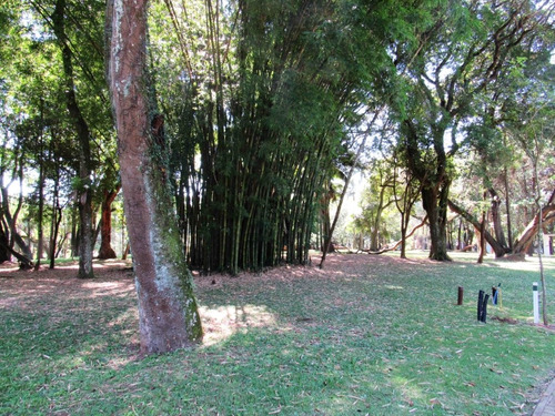 Imagem 25 de 27 de Terreno-são Paulo-alto Da Boa Vista | Ref.: Reo36289 - Reo36289