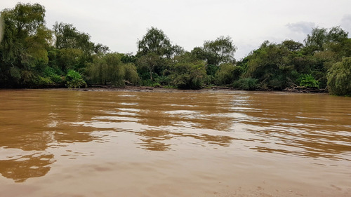 Lotes Venta 2da Seccion Delta Islas Sobre Paraná De L. Palma