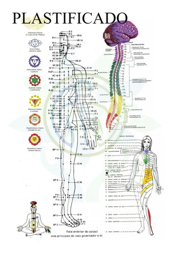 Kit 2 Mapas Meridianos Dos Chakras Principais Pontos Tamanho Grande A3 29 X  41 Cm