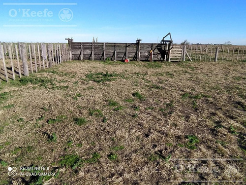 Imagen 24 de 30 de Dolores 210 Has. Campo Mixto En Venta. Excelente Unidad Productiva.