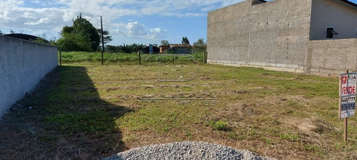 Imagem 2 de 2 de Terreno - Sao Domingos - Ref: 33709 - V-33706