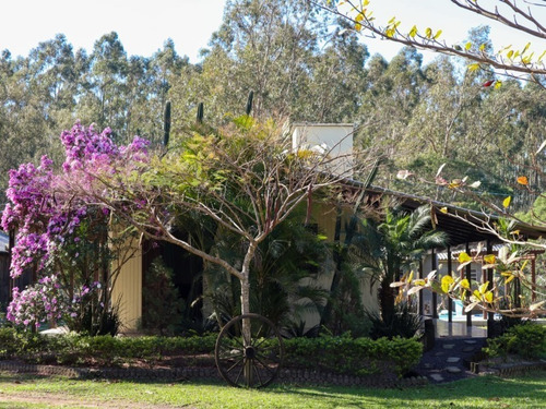 Chácara 5.400 M² - Várzia Do Padre - Osório - Rs - 2432 - 68391065