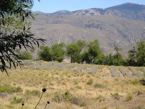 Imagen 28 de 30 de Campo En Venta Zona Alumine, Neuquén