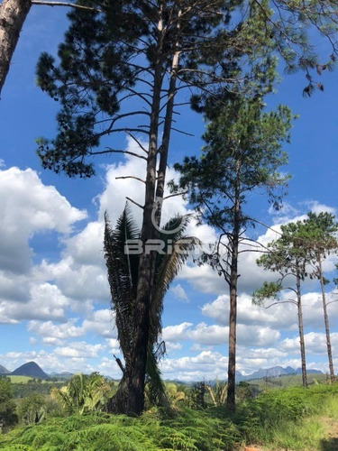 Imagem 10 de 10 de Terreno Com 600 M² Na Fazenda Suiça. - Te00375 - 69026830