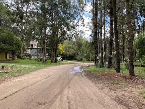 Imagen 5 de 12 de En Venta Terreno - Mar De Las Pampas - Oportunidad.